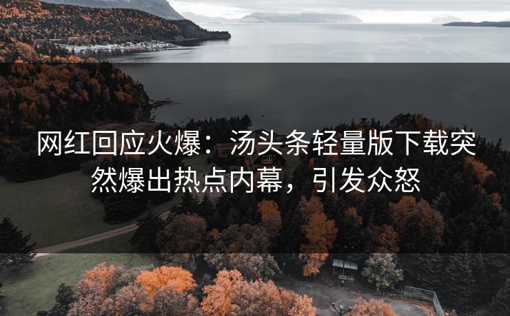 网红回应火爆：汤头条轻量版下载突然爆出热点内幕，引发众怒