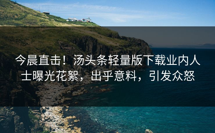 今晨直击！汤头条轻量版下载业内人士曝光花絮，出乎意料，引发众怒
