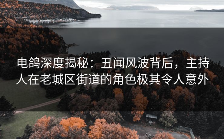 电鸽深度揭秘：丑闻风波背后，主持人在老城区街道的角色极其令人意外