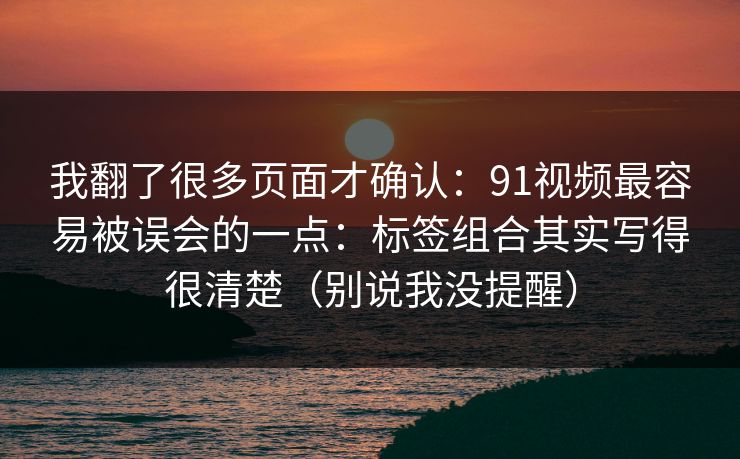 我翻了很多页面才确认：91视频最容易被误会的一点：标签组合其实写得很清楚（别说我没提醒）